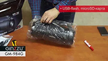 Портативная колонка GINZZU GM-984G