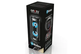 Портативная аудиосистема GINZZU GM-210, черный