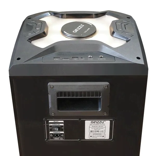 Активная напольная акустика Ginzzu GM-203-0