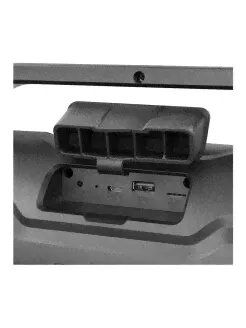 Беспроводная колонка Ginzzu, GM-984G, черный Ginzzu